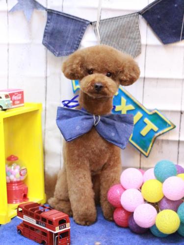 20230423まめくん